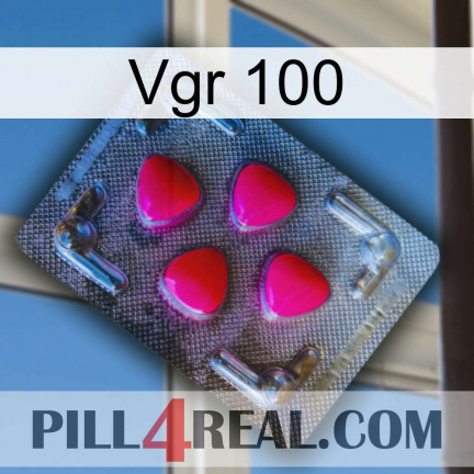 Vgr 100 13